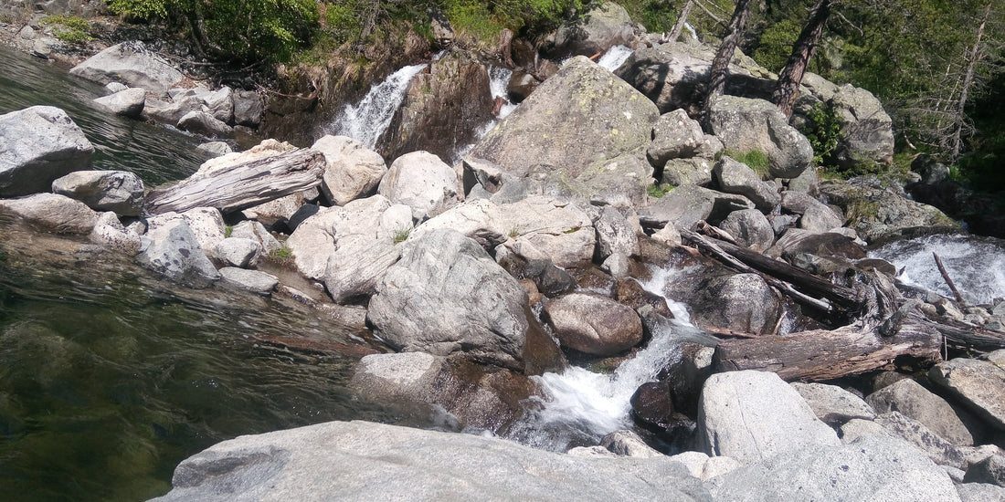 La SalmoTreck 2023 : une expérience unique !