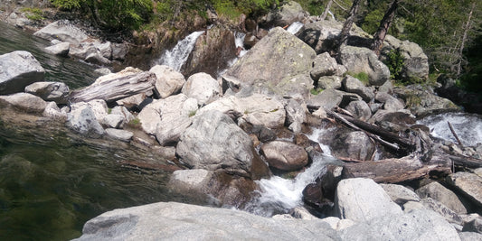 La SalmoTreck 2023 : une expérience unique !