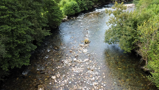 Guide de la pêche à la truite au leurre pour les débutants