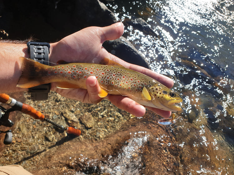Cuiller tournante et ondulante truite