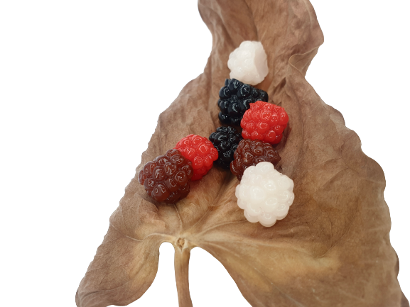 Mûres - conditionnement par 5