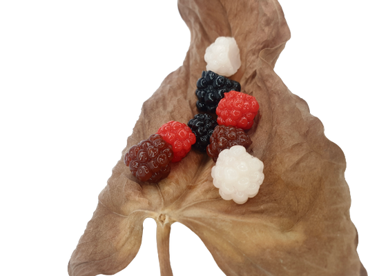 Mûres - conditionnement par 5