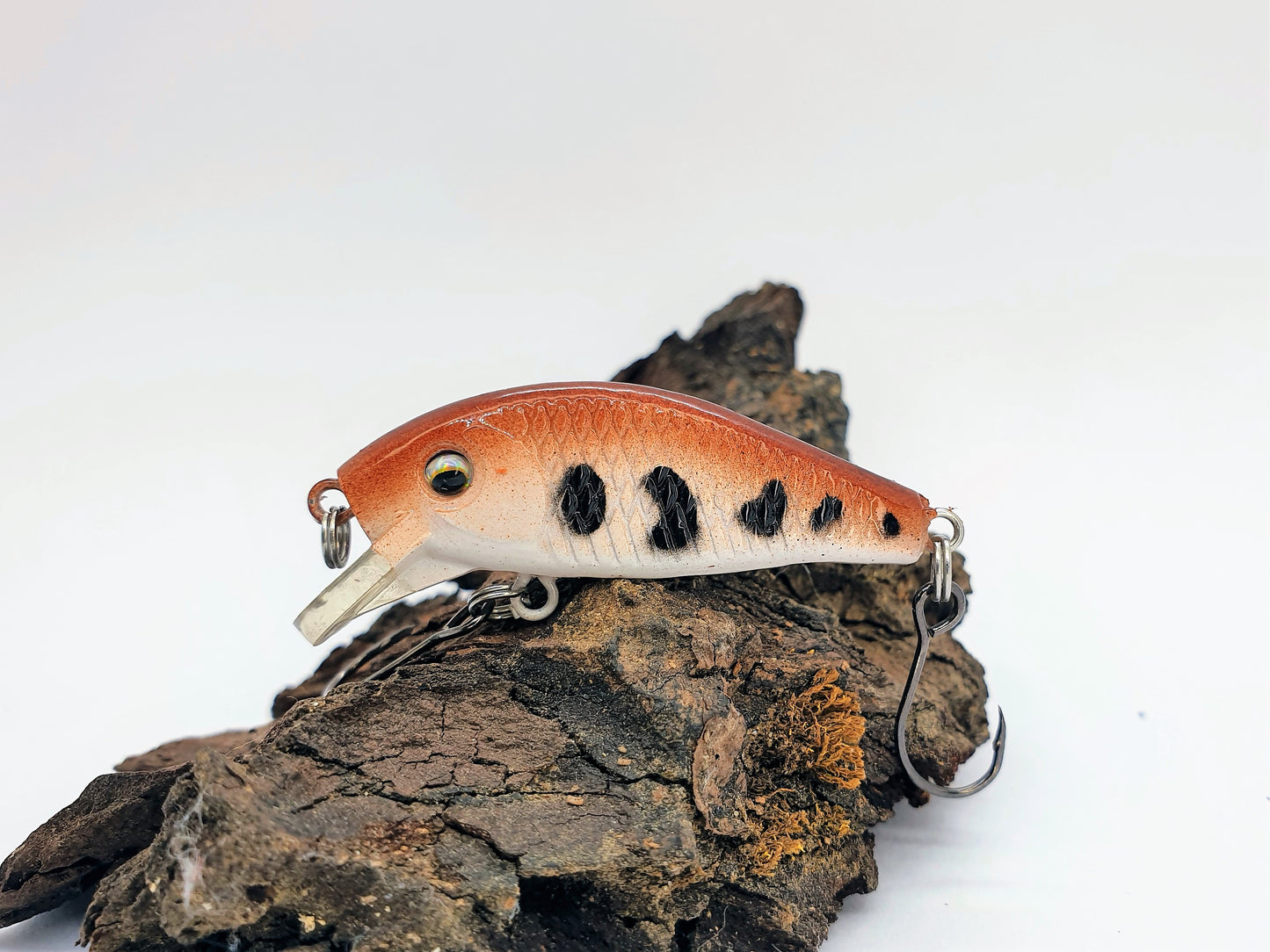 Tiny - leurre truite (minnow)