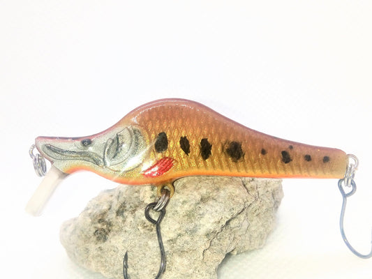 Vendetta Vairon Orange - fin de série