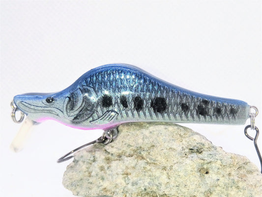 Vendetta Saumon - fin de série