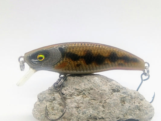 Sleepeur Vairon - fin de série