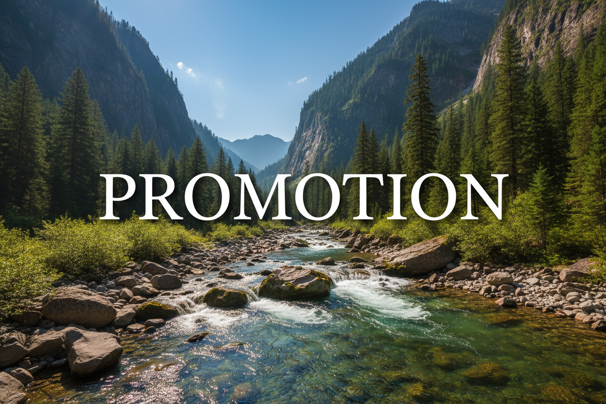 Promotions de l'été