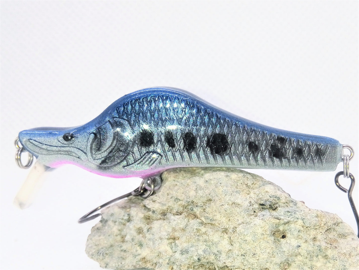 Vendetta Salmon - end of series