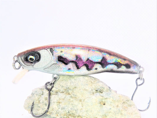 Minnow Holographic Sleeper - end of series